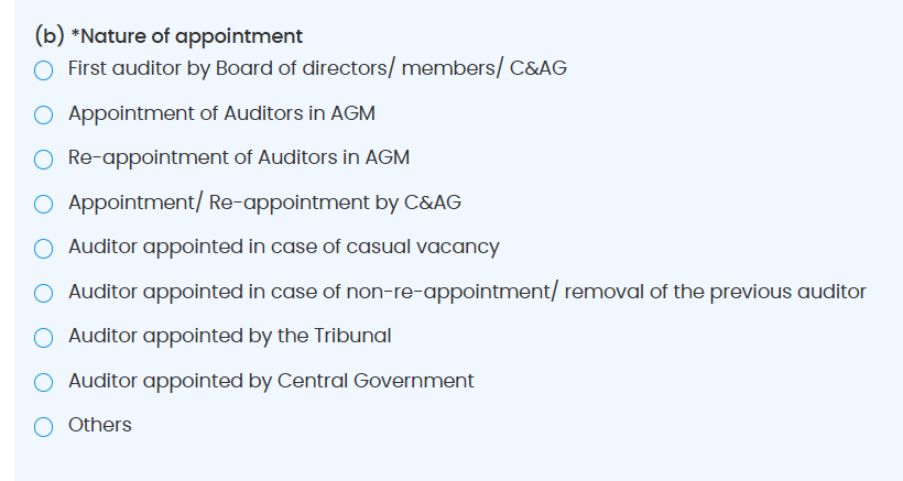 First Auditor Form